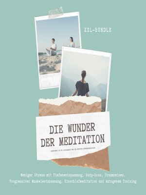 cover image of Das Wunder der Meditation
